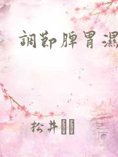 调节脾胃湿气重