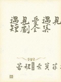 遇见爱遇见幸福短剧全集