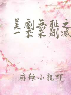 美剧无耻之徒第一季未删减在线看