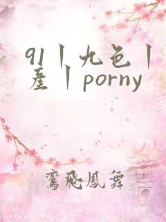 91丨九色丨国产丨porny