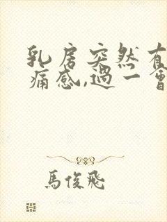 乳房突然有点刺痛感,过一会就好了