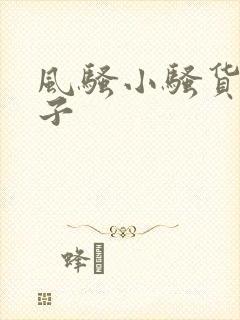风骚小骚货大奶子