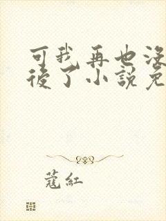 可我再也没有以后了小说免费阅读