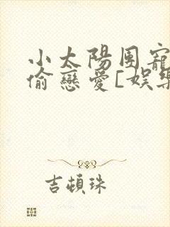小太阳团宠在偷偷恋爱[娱乐圈]