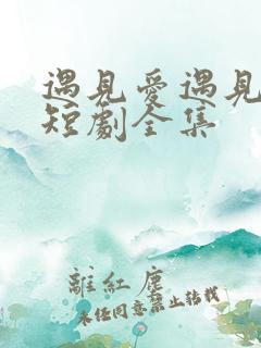 遇见爱遇见幸福短剧全集