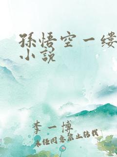孙悟空一缕残魂小说