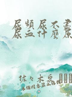 尿频尿不尽尿痛尿血什么原因