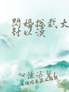 闪婚总裁太霸道封以漠