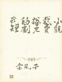 我的总裁小是姨短剧免费观看