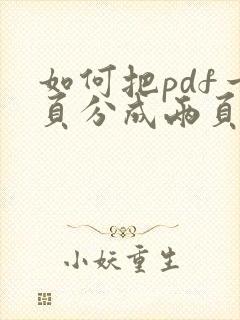 如何把pdf一页分成两页打印