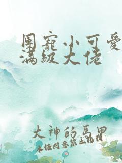 团宠小可爱成了满级大佬