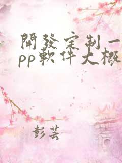 开发定制一个app软件大概多少钱