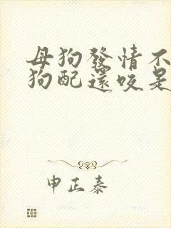 母狗发情不让公狗配还咬是怎么回事