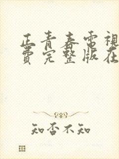 正青春电视剧免费完整版在线观看