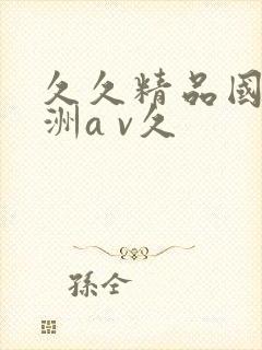 久久精品国产亚洲a v久
