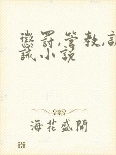惩罚,管教,训诫小说