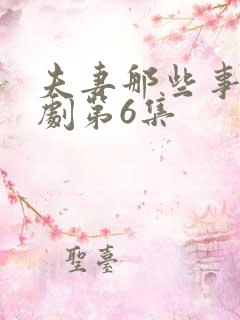 夫妻那些事电视剧第6集