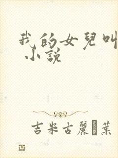 我的女儿叫小可 小说