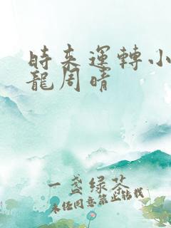 时来运转小说张龙周晴
