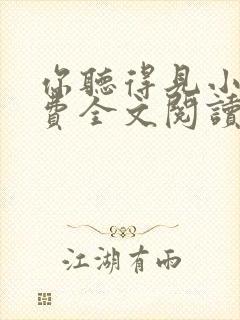 你听得见小说免费全文阅读