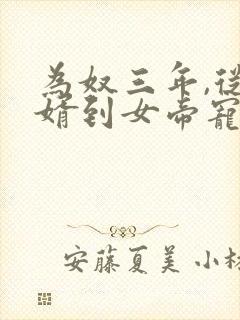 为奴三年,从赘婿到女帝宠臣有声