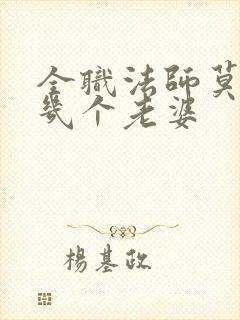 全职法师莫凡有几个老婆