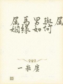 属马男与属鼠女姻缘如何