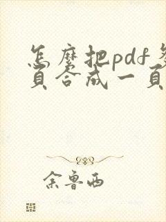 怎么把pdf多页合成一页