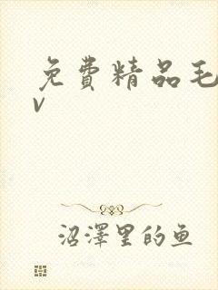 免费精品毛片av