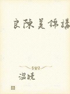 良陈美锦讲什么