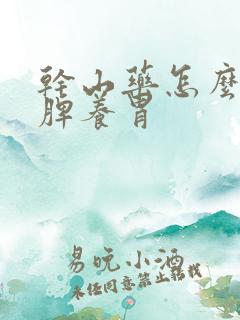干山药怎么吃健脾养胃