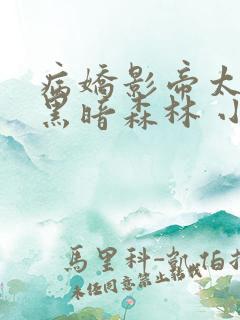 病娇影帝太撩人黑暗森林 小说全文免费阅读