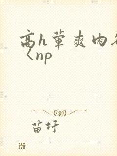 高h荤爽肉欲文〈np