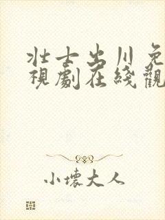 壮士出川免费电视剧在线观看