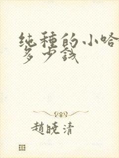 纯种的小哈士奇多少钱