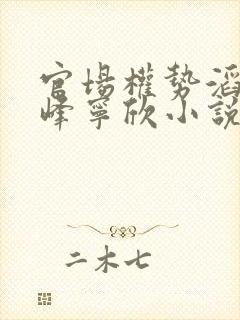 官场权势滔天林峰宁欣小说在线阅读