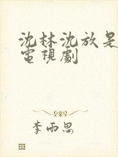 沈林沈放是哪部电视剧