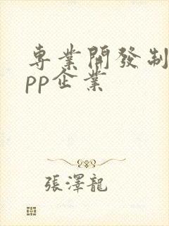 专业开发制作app企业