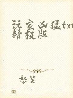 玩家凶猛txt精校版