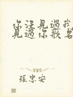 你没见过我我没见过你歌名