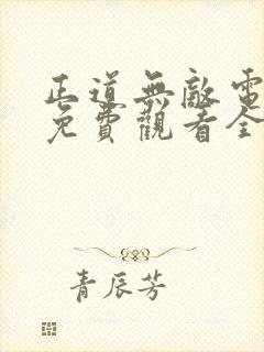 正道无敌电视剧免费观看全集