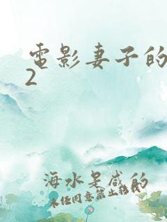 电影妻子的姐姐2