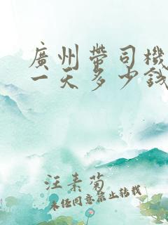 广州带司机包车一天多少钱