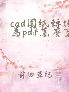 cad图纸转化为pdf怎么变黑白