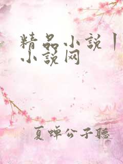 精品小说丨极品小说网