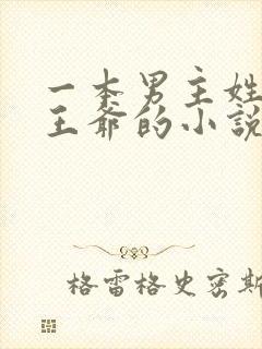 一本男主姓萧是王爷的小说