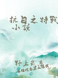 抗日之特战兵王 小说