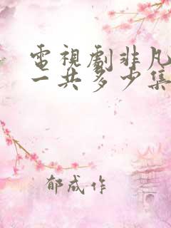 电视剧非凡医者一共多少集
