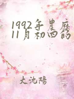 1992年农历11月初四的生辰八字