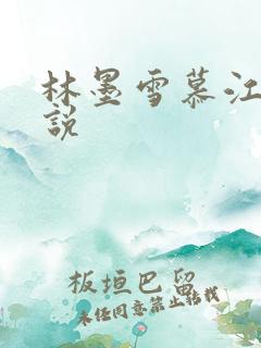林墨雪慕江行小说